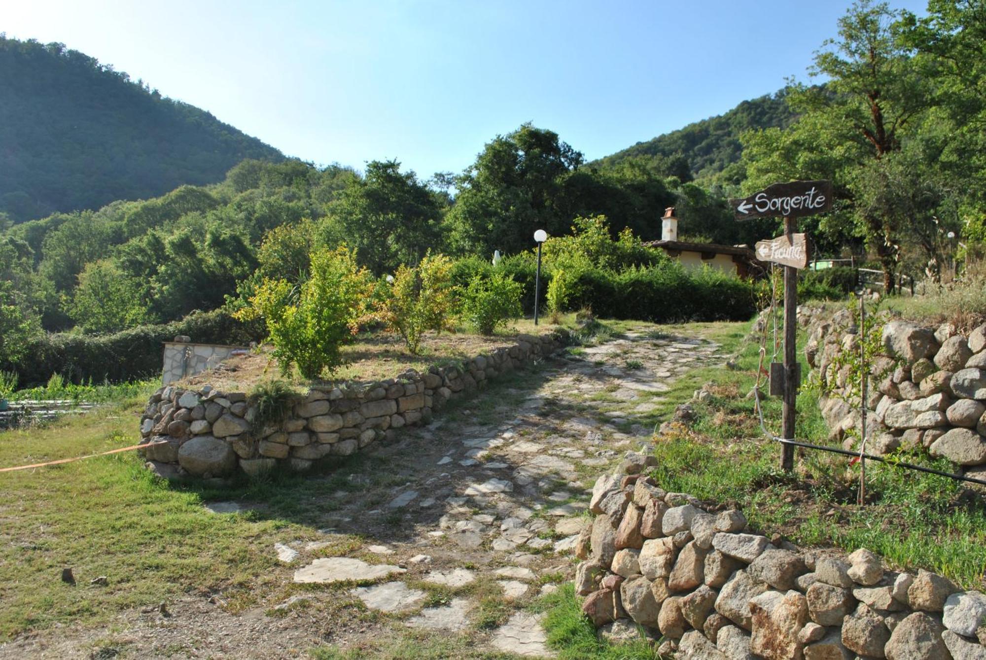 Azienda Agricola Biologica La Cardellina Tolfa Exterior photo